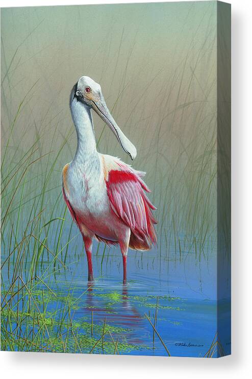 Roseate Spoonbill Canvas Print featuring the painting Roseate Spoonbill by Mike Brown