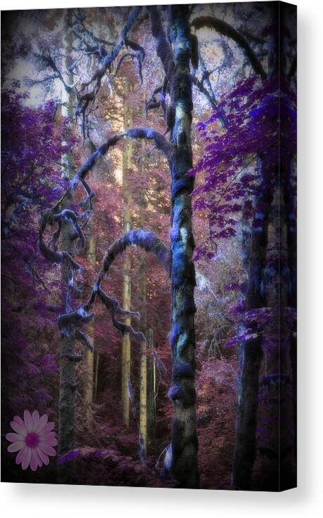 Fantasy Canvas Print featuring the photograph Sacred Forest by Amanda Eberly