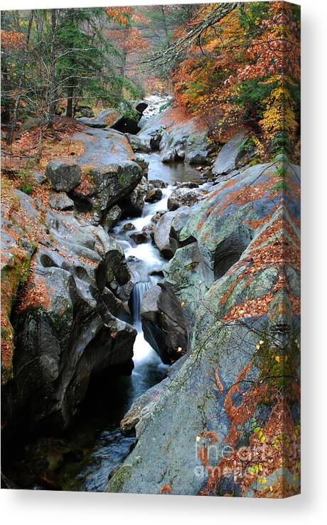 Sculptured Rocks Groton New Hampshire Usa Waterfall Fall Autumn Rocks Stream Canvas Print featuring the photograph Sculptured Rocks by Richard Gibb