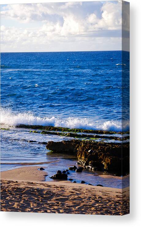 Beach Canvas Print featuring the photograph Sea Shelves by Christi Kraft