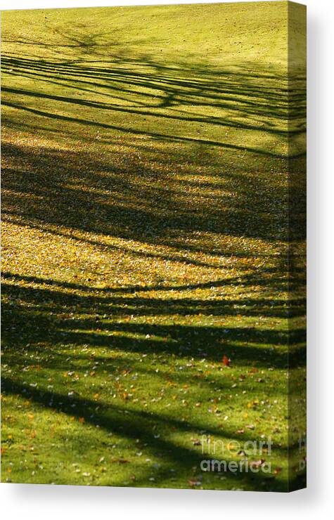 Autumn Canvas Print featuring the photograph Shadow Grass by Linda Shafer