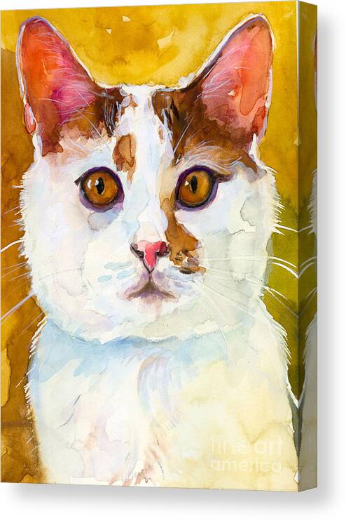 Feline Canvas Print featuring the painting Shelter Sweety Two by Molly Poole