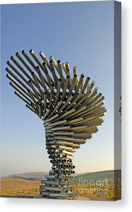 Singing Canvas Print featuring the photograph Singing Ringing Tree by Brenda Kean