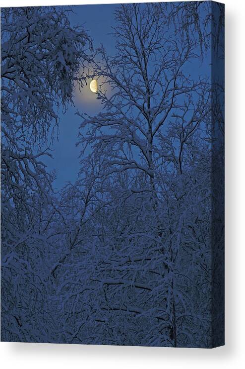 Snow Canvas Print featuring the photograph Snow and Moon by Pekka Sammallahti