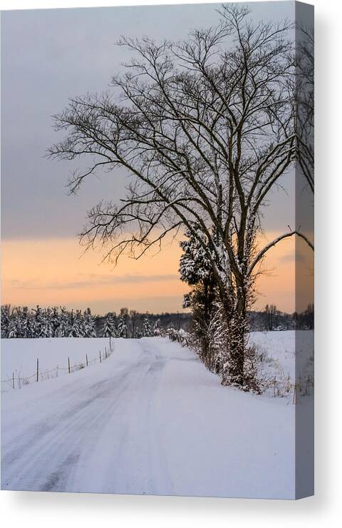 Snow Canvas Print featuring the photograph Snowy Country Road by Holden The Moment