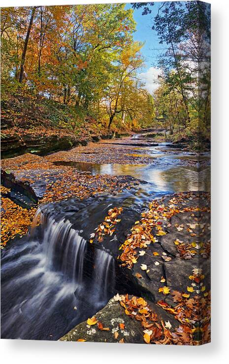 Skillet Creek Canvas Print featuring the photograph Splendor at Skillet Creek by Leda Robertson