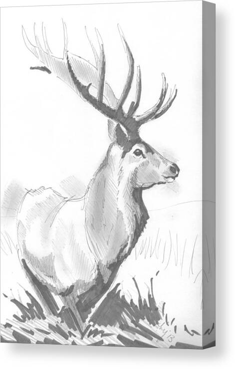 Stag Canvas Print featuring the drawing Stag Drawing by Mike Jory