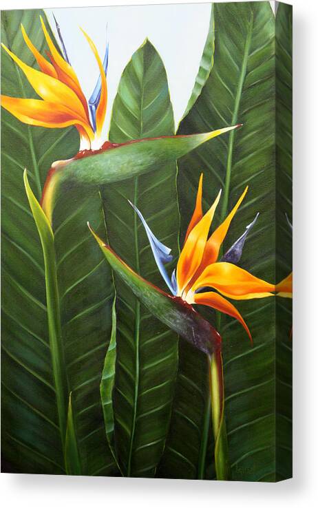 Strelitzia Canvas Print featuring the painting Standing Room Only by Lorraine Ulen