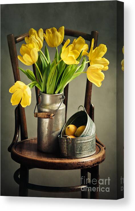 Tulip Canvas Print featuring the photograph Still Life with Yellow Tulips by Nailia Schwarz