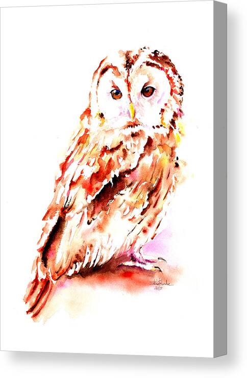 Strix Aluco Canvas Print featuring the painting Strix aluco by Isabel Salvador