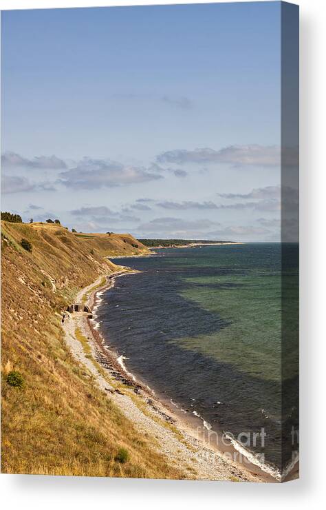 Baltic Canvas Print featuring the photograph Swedish coastline by Sophie McAulay