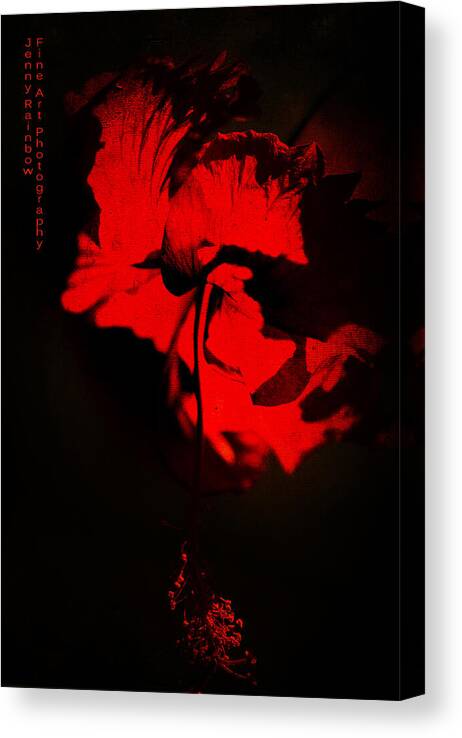 Hibiscus Canvas Print featuring the photograph Tango of Passion for You by Jenny Rainbow