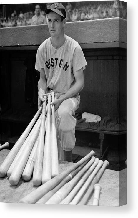 Ted Canvas Print featuring the photograph Ted Williams by Gianfranco Weiss
