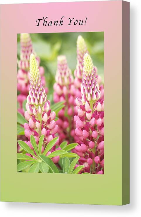 Lupine Canvas Print featuring the photograph Thank You Lupine Pastels by Michael Peychich