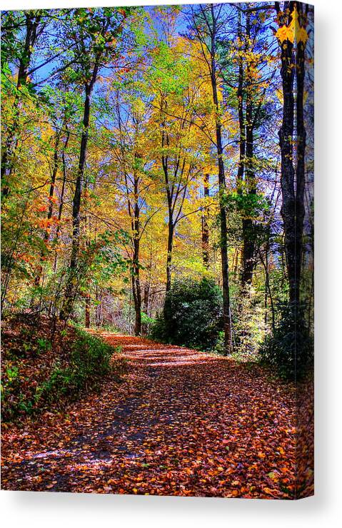 Nature Canvas Print featuring the photograph The Beauty of Fall by Albert Fadel