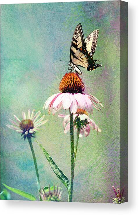 Nature Canvas Print featuring the photograph The Beauty of Summer by Trina Ansel