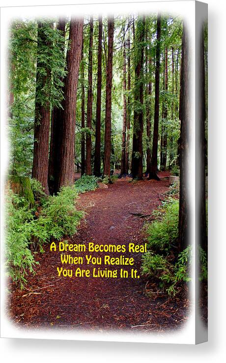 Dreams Canvas Print featuring the photograph The Dream is Real Again by Ben Upham III