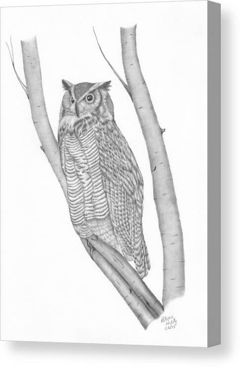 Owl Canvas Print featuring the drawing The Great Horned Owl Watches by Patricia Hiltz