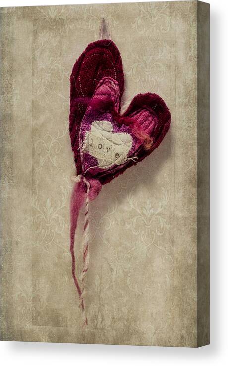 Love Canvas Print featuring the photograph The Love Heart by Wayne Meyer