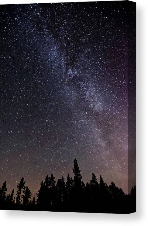 Tranquility Canvas Print featuring the photograph The Milky Way Seen Above A Forest by Dave Moorhouse