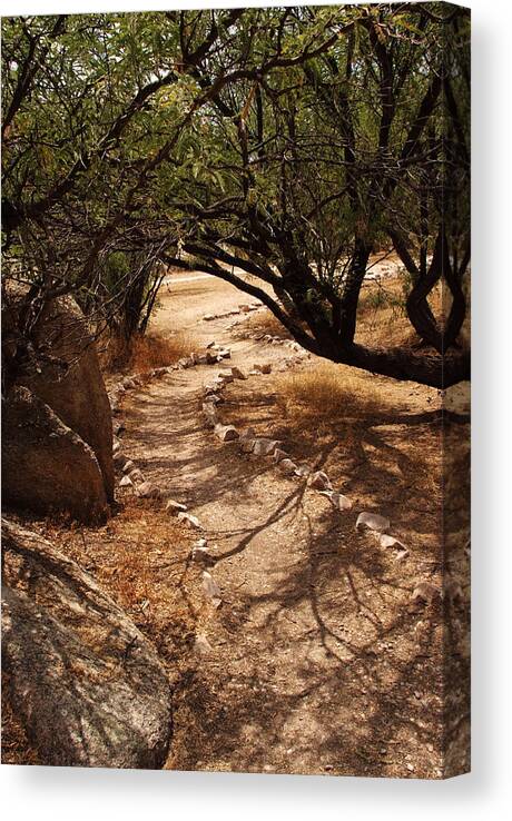 Landscape Canvas Print featuring the photograph The Path by Michael McGowan