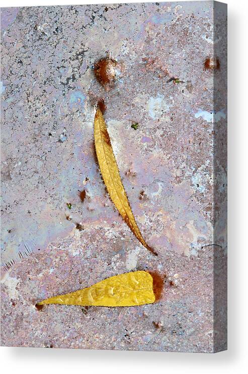 Leaf Canvas Print featuring the photograph The World As We Don't Know It by Juergen Roth