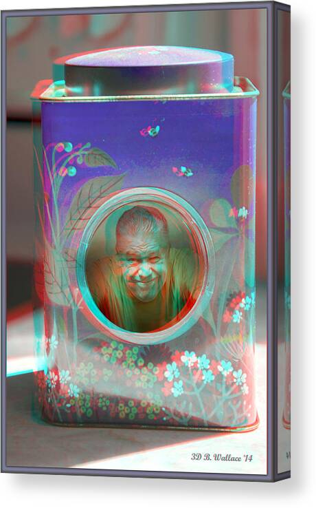 3d Canvas Print featuring the photograph Thinking Inside The Box - Red/Cyan filtered 3D glasses required by Brian Wallace