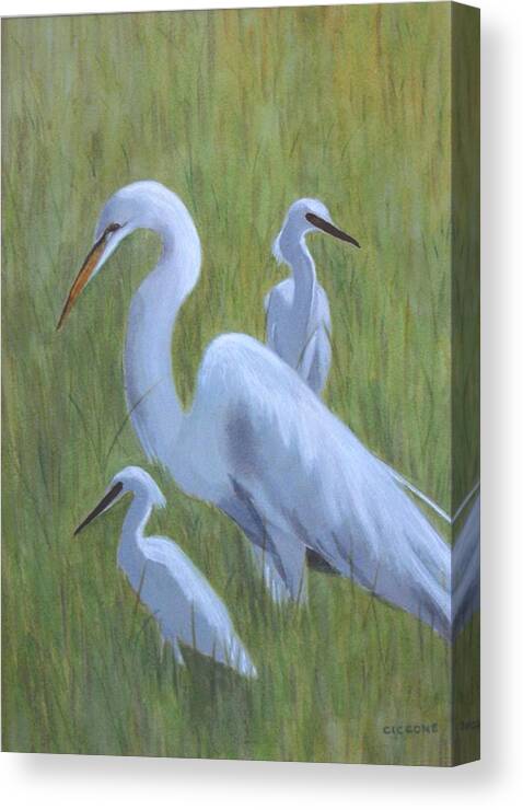 Waterfowl Canvas Print featuring the painting Three Egrets by Jill Ciccone Pike