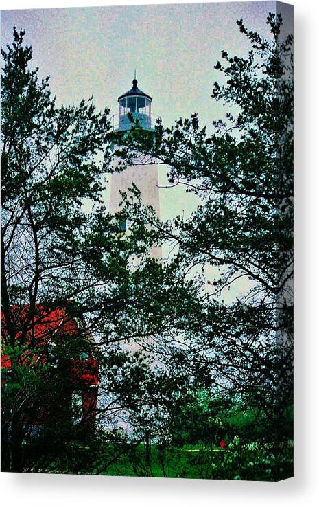 Lighthouse Canvas Print featuring the photograph Through The Trees by Daniel Thompson