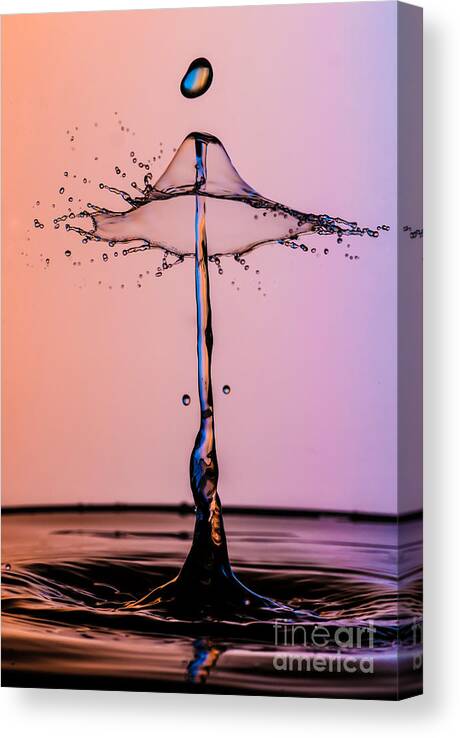 Drop Canvas Print featuring the photograph Top Hat by Anthony Sacco