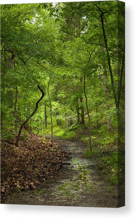 Landscape Canvas Print featuring the photograph Trail of Tears Mantle Rock Entrance by Lena Wilhite