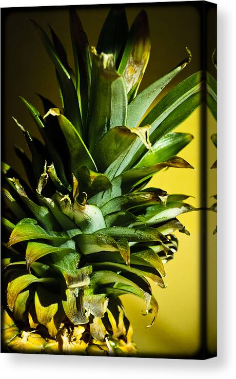 Aromatic Canvas Print featuring the photograph Tropical Top by Christi Kraft