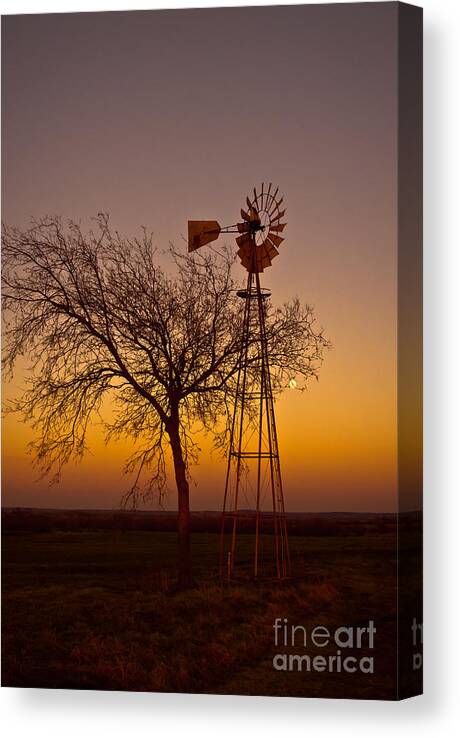 Landscape Canvas Print featuring the photograph Twilight by Robert Frederick