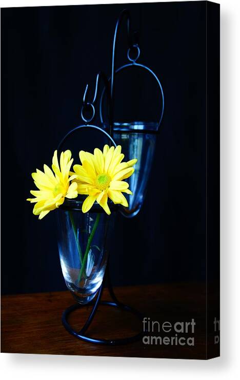 Flower Canvas Print featuring the photograph Two Yellow Daisies by Kerri Mortenson