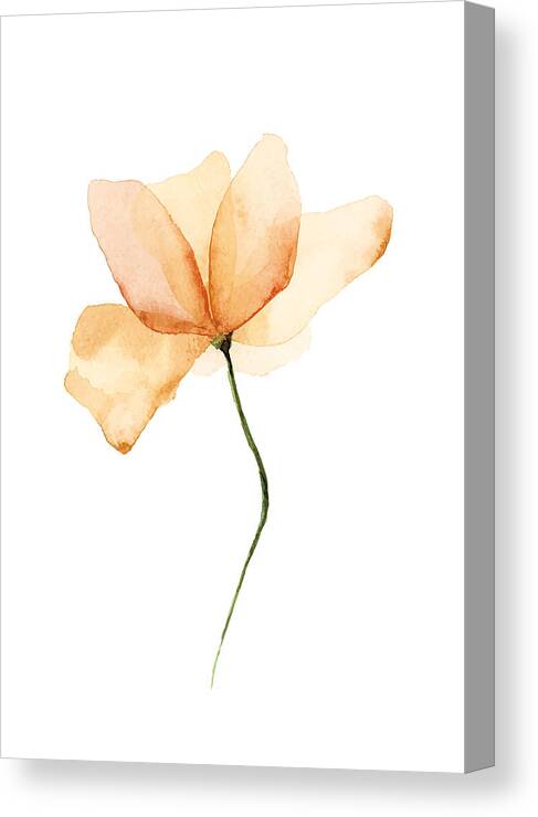 Art Canvas Print featuring the drawing Vector Watercolor Flower by Rustemgurler