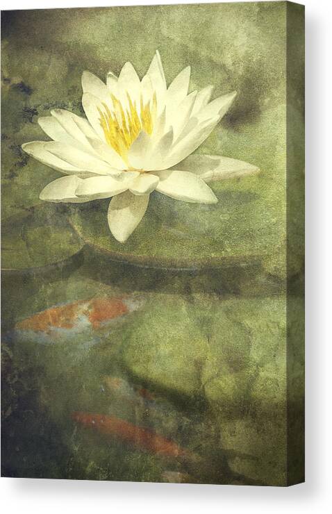 Water Lily Canvas Print featuring the photograph Water Lily by Scott Norris