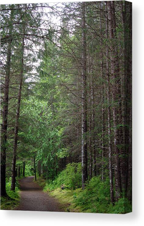 Path Canvas Print featuring the photograph Whither? by Susan Stephenson