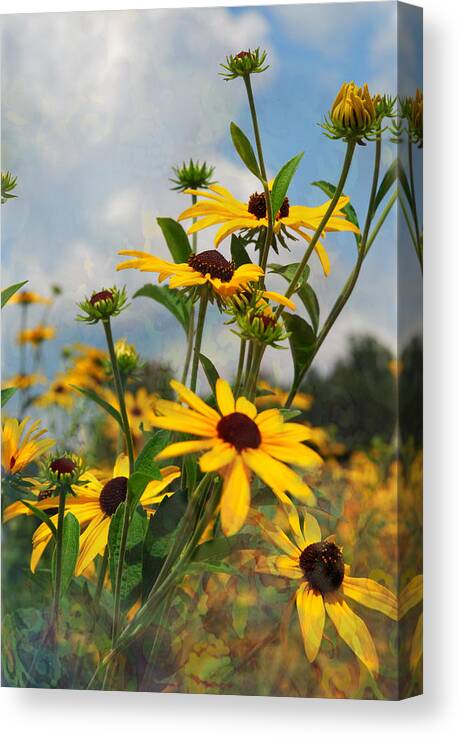 Wild Flowers Canvas Print featuring the digital art Wild Flowers by Lena Wilhite