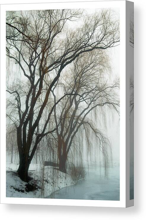Willow Trees Canvas Print featuring the photograph Willows in fog by Elvira Butler