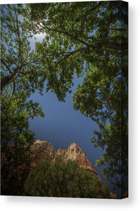 Mountain Canvas Print featuring the photograph Windows in Zion by Dwight Theall