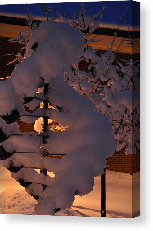 Sculpture Canvas Print featuring the photograph Winter Whirligig by Jim Brage