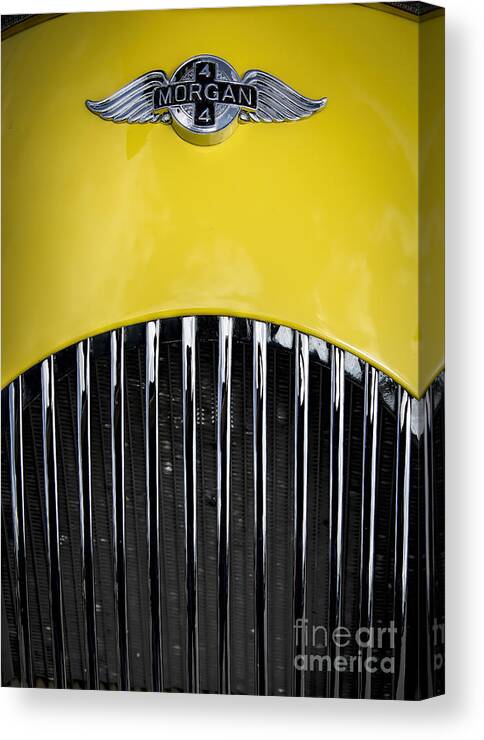 Yellow Canvas Print featuring the photograph Yellow Morgan by Ken Johnson