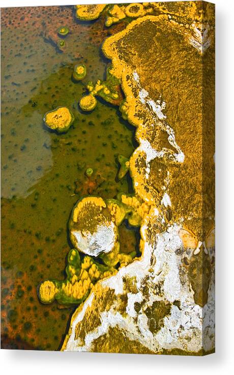 Geyser Canvas Print featuring the photograph Yellowstone Abstract by Jamie Pham