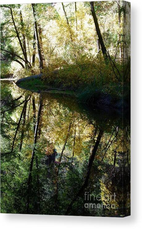 During The Fall Season Canvas Print featuring the photograph Oak Creek Reflection #4 by Tam Ryan