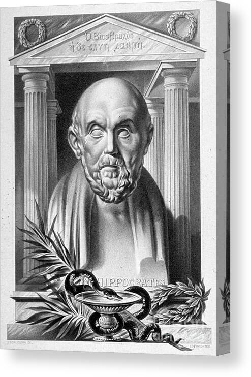 History Canvas Print featuring the photograph Hippocrates, Greek Physician, Father #3 by Science Source