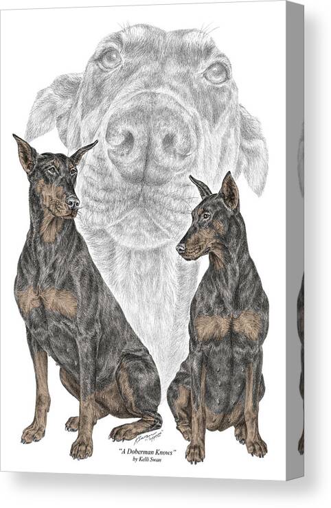 Doberman Canvas Print featuring the drawing A Doberman Knows - Dobe Pinscher Dog Art Print by Kelli Swan