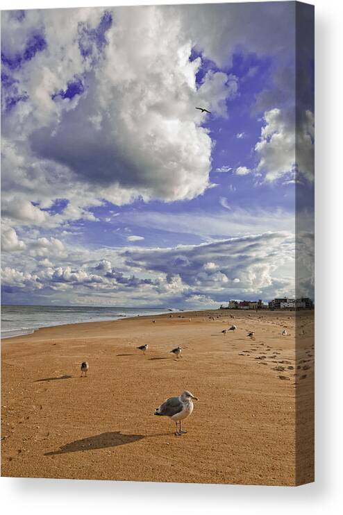 Beach Canvas Print featuring the photograph Alone at Last by Jim Moore