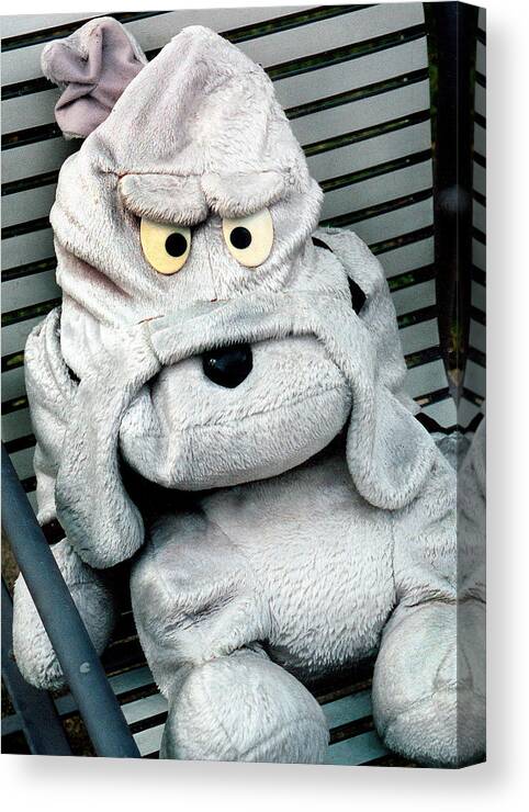 Animal Doll Canvas Print featuring the photograph Am I Mad by Burney Lieberman