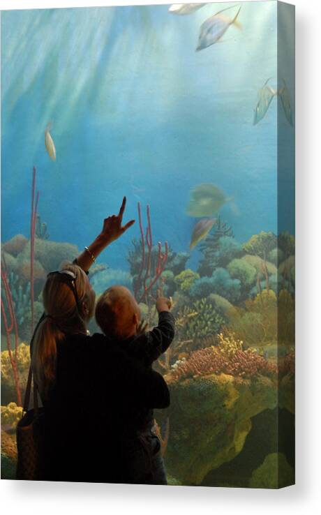 Aquarium Art Canvas Print featuring the photograph Aquarium 75 by Joyce StJames