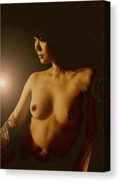 Portrait Canvas Print featuring the photograph Asia light 2 by Tim Ernst